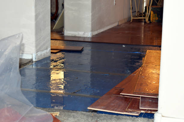 Professional Sewage Cleanup technician working in Howard, WI